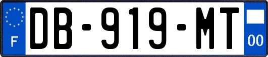DB-919-MT