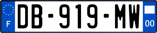DB-919-MW