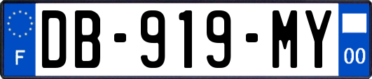 DB-919-MY