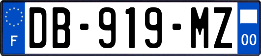DB-919-MZ