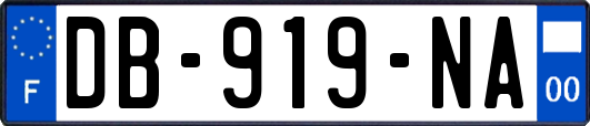 DB-919-NA