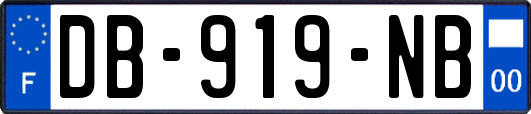 DB-919-NB