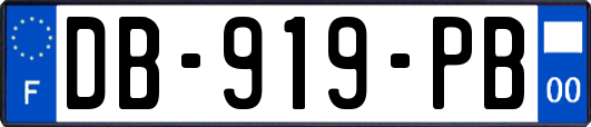 DB-919-PB