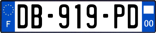 DB-919-PD