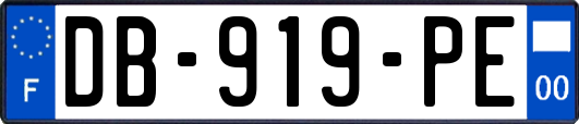 DB-919-PE