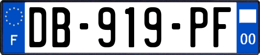 DB-919-PF