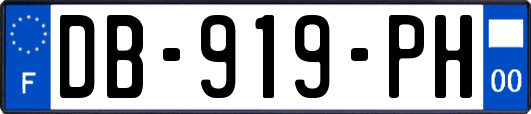 DB-919-PH