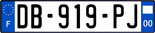 DB-919-PJ