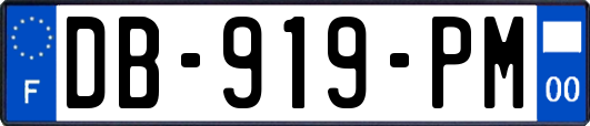 DB-919-PM