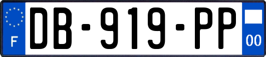DB-919-PP