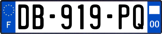 DB-919-PQ