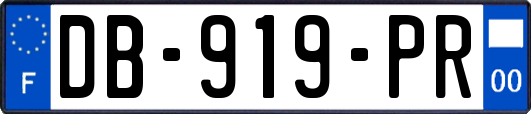 DB-919-PR