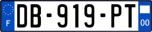 DB-919-PT