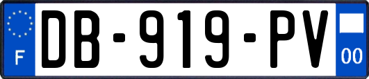 DB-919-PV