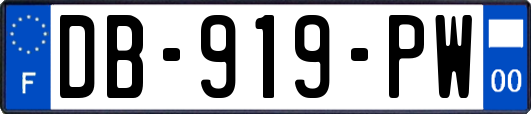 DB-919-PW