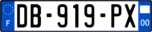 DB-919-PX