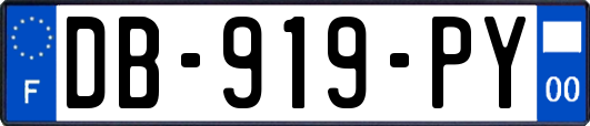 DB-919-PY