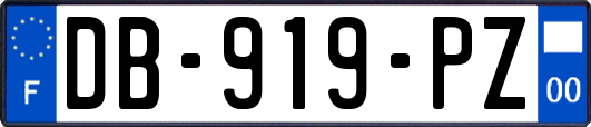 DB-919-PZ