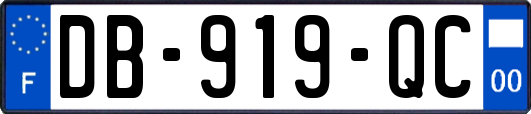 DB-919-QC