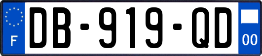DB-919-QD