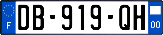 DB-919-QH