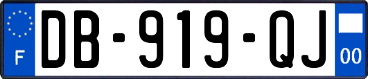 DB-919-QJ