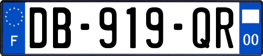 DB-919-QR