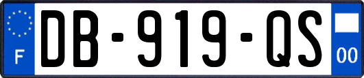 DB-919-QS