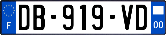 DB-919-VD