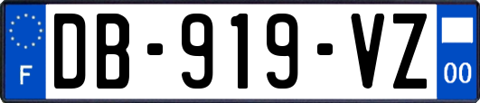DB-919-VZ