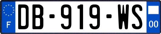 DB-919-WS