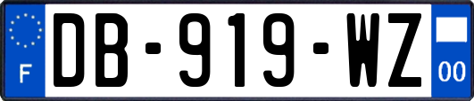 DB-919-WZ