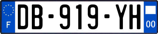 DB-919-YH