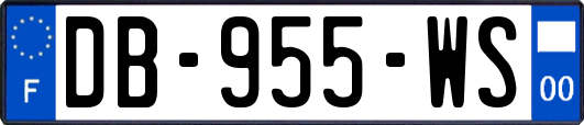 DB-955-WS