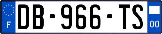 DB-966-TS