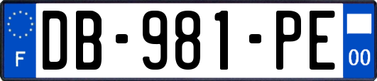 DB-981-PE