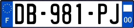 DB-981-PJ
