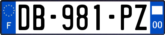 DB-981-PZ