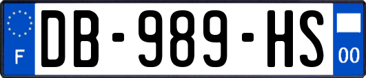 DB-989-HS