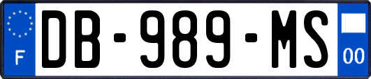 DB-989-MS