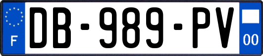 DB-989-PV