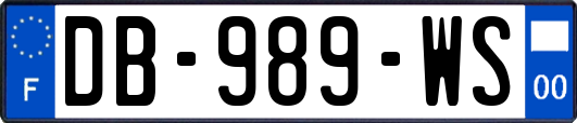 DB-989-WS