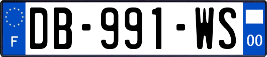 DB-991-WS