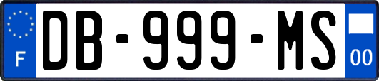 DB-999-MS