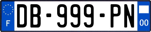 DB-999-PN