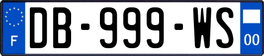 DB-999-WS