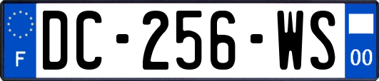 DC-256-WS