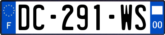 DC-291-WS