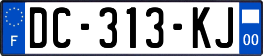 DC-313-KJ