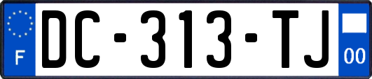 DC-313-TJ